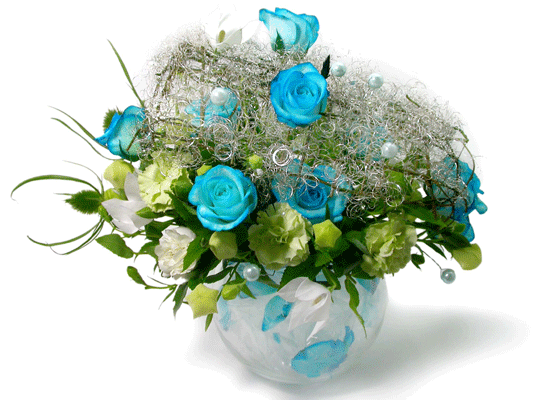 The Blue Paradise - Better together ���� �ɹ��