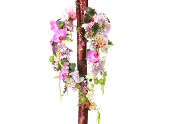 ��ȥ�ؿ� - �ູ�� ���� ���� �ɹ��