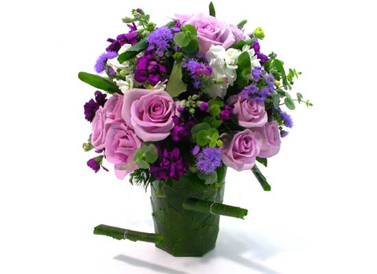 Floristic Basic - Purple(Ǽ)  ɹ