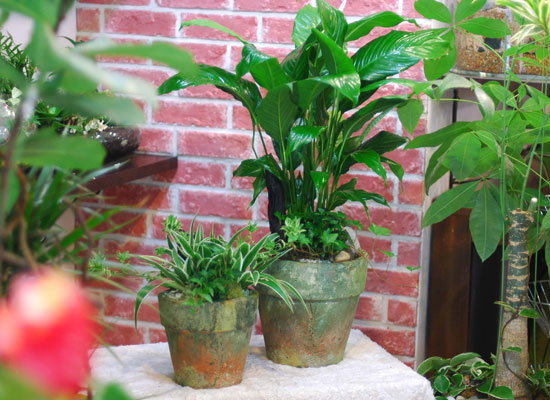 �ڶ�� ��̸� ������ ������... ���� �ɹ��