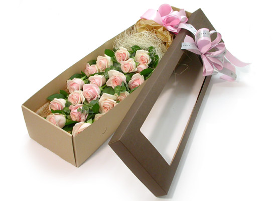 Trend box - ּҼ  ɹ