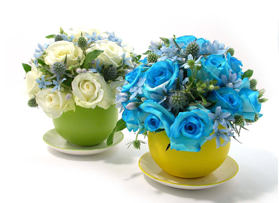 ����ƽ ���� -Honeydew ���� �ɹ��