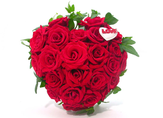 ö119  - ̰ ڿ  ־  ɹ