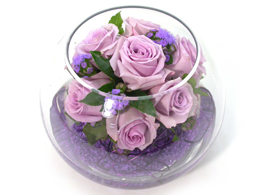 []Purple Mango  ɹ