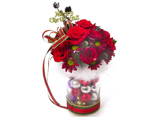 12  - Wish you  merry christmas  ɹ