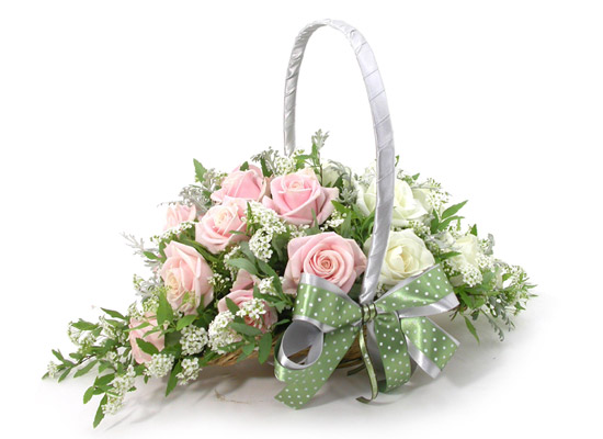 []flowery fiction - Ƽ  ɹ