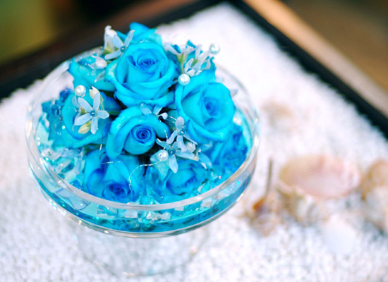 []ƽ  - Lightblue  ɹ