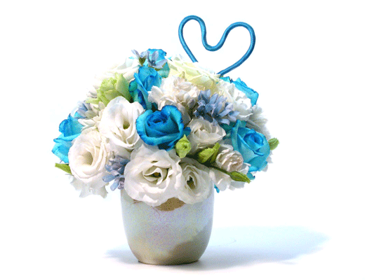 []Blue Daiana(̾Ƴ)  ɹ