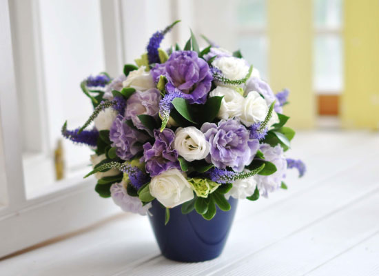 []Lovely lover - Purple veronica  ɹ