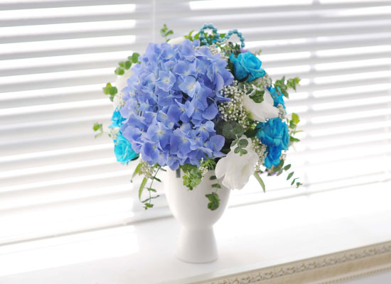 []That's cool - Blue  cloud  ɹ
