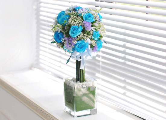 []That's cool - Blue topiary  ɹ