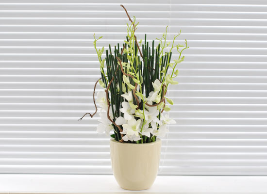 [������] Chic feminine2 - Green Sky ���� �ɹ��