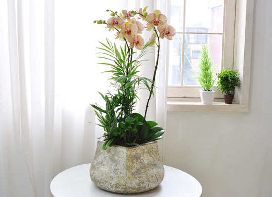 ������ ��� - ���� ȭ�⿡ ���� ȣ���� ���� �ɹ��