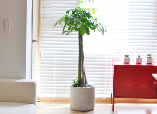 [�� ���׸��� ��õ]����ȭ�� - ��Ű�� ���� �ɹ��