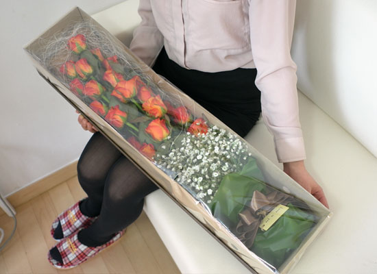 Rose & Charming lady  ɹ