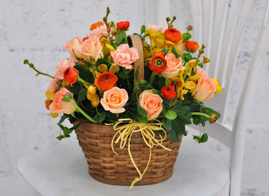 [] ŭ ܿ  - Happy winter orange  ɹ