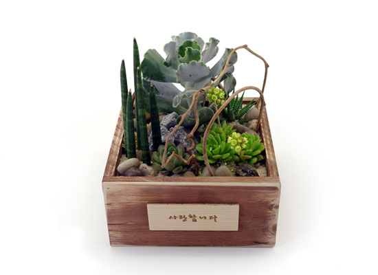 [] Office & Nature - Natural Garden(ȭǰ ٸȭ ü)  ɹ