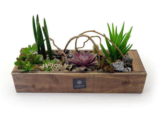 [] Office & Nature - Plant Box  ɹ
