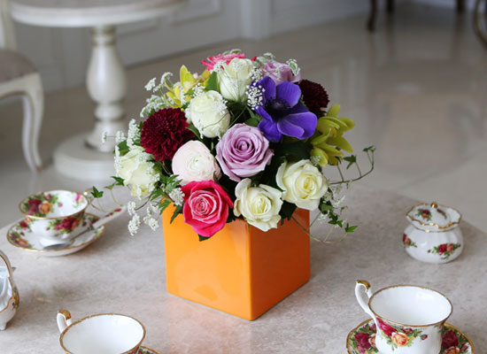 [] Spring & Sweet - ʸ(ȭ   ֽϴ)  ɹ