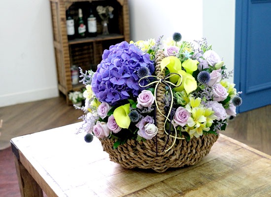 [전국배송]special day - 칼라릴리의 유혹 꽃집 꽃배달