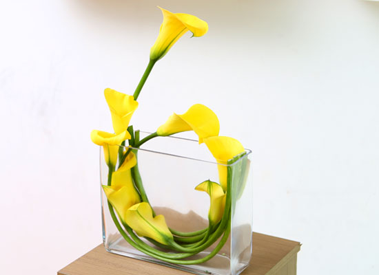 Flowers in harmony with container - Cala  ɹ
