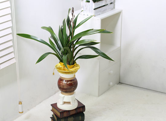 Office & Nature - ȭ  ɹ