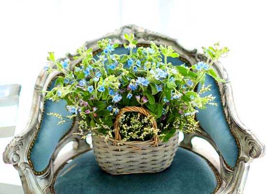   - Vintage Blue  ɹ