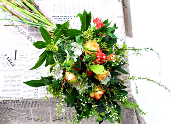 Flowers of the day  ɹ