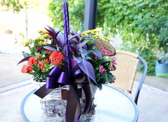 [ȭĹ]Garden gift basket -  It's always a good time!- ü  ɹ