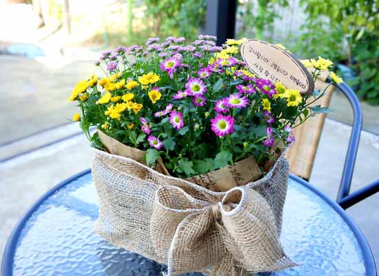 [ȭĹ]Garden gift basket - This is really cool looking!(   ü)  ɹ