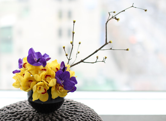 spring&sweet - yellow & puple  ɹ