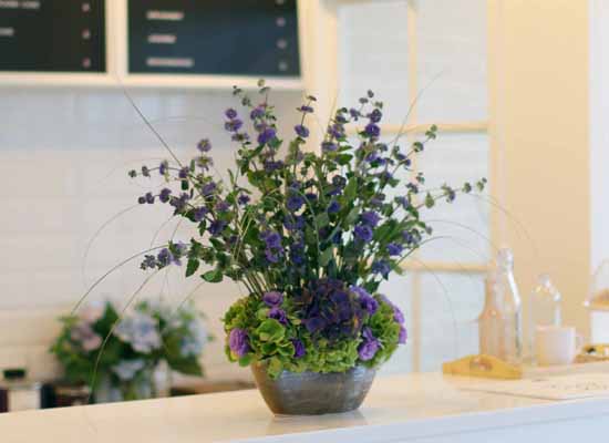 14 Fall  Flower Arrangements Blooming With - The calamint  ɹ