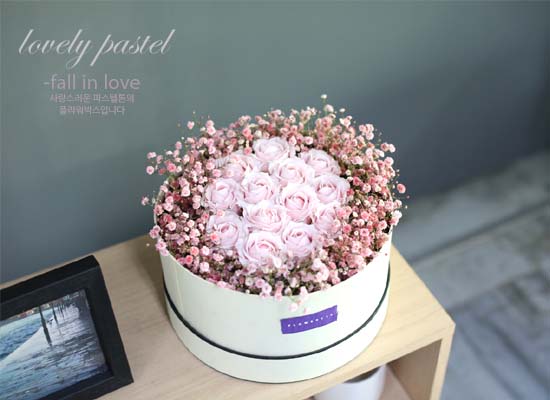 lovely pastel-fall in love  ɹ