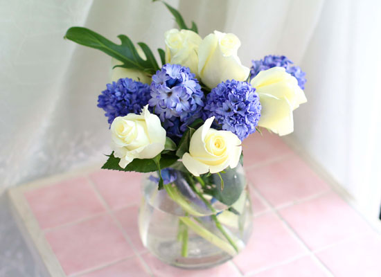 '()ȯ桯ô ƽý öȭ - I like the blue Hyacinth  ɹ