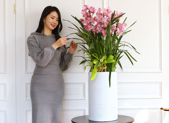 [서울] 생활공간을 아름답게 - 심비디움 핑크 (대) 꽃집 꽃배달