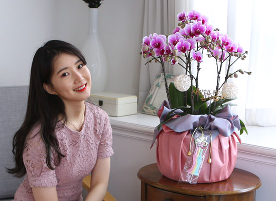 [서울] 정성이 느껴지는 보자기 포장 - 핑크 르네상스 (중) 꽃집 꽃배달