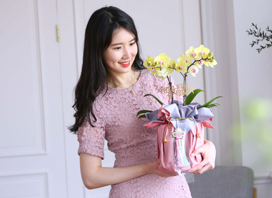 [서울] 정성이 느껴지는 보자기 포장 - 노랑 호접란 (소) 꽃집 꽃배달