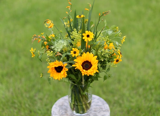 Sunflowers Ÿ ٶ󺾴ϴ  ɹ
