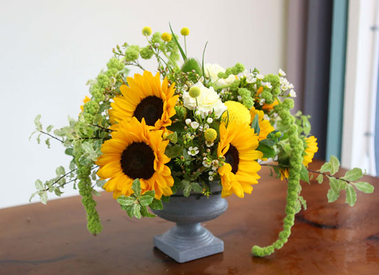 Summer Flowers - ޺ Ը  ɹ