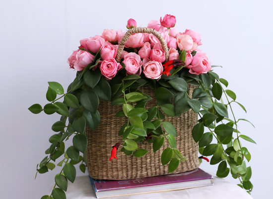 Romatic Rose ���� �ɹ��