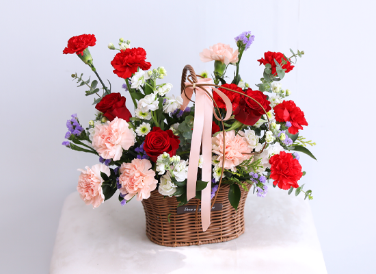 Dancing Red Rouge Basket ���� �ɹ��