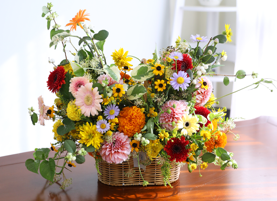 Sunlight Happiness ���� �ɹ��