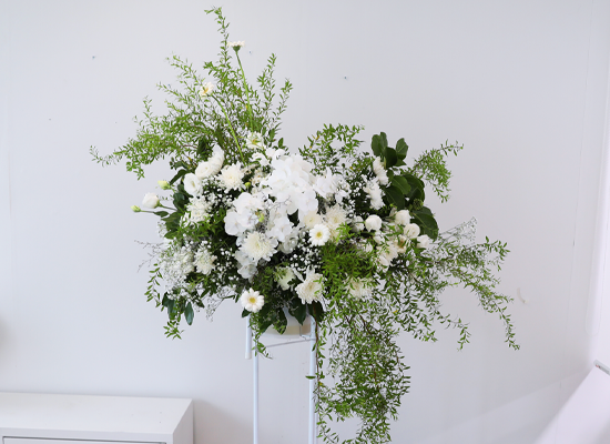 With Deepest Sympathy ���� �ɹ��