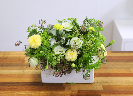 �ʷ� �� ��� ���� �ɹ��