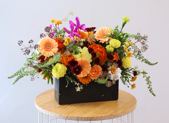 ��� ���� ���� ���� �ɹ��