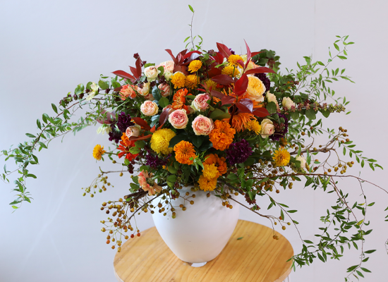 ������ ���� ������ �޻� ���� �ɹ��