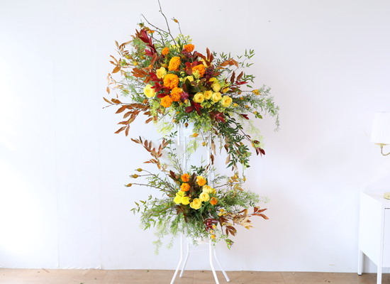 Brilliantly Ripened Today ���� �ɹ��