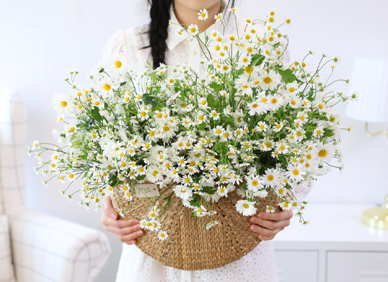 ���� �޻� ��� ���� ���� �ɹ��