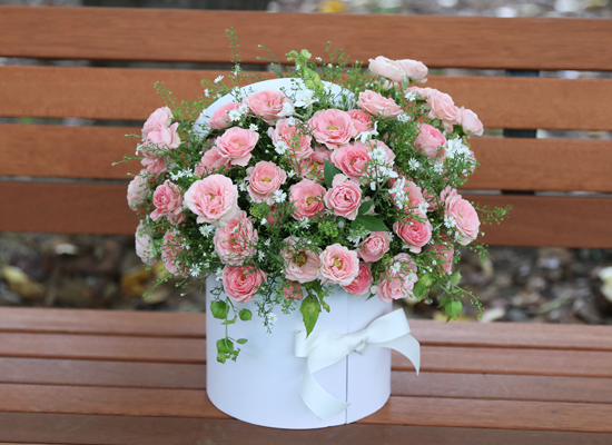 A Thought Just for You ���� �ɹ��