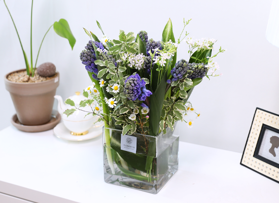 ���� ���� ���� ���� �ɹ��